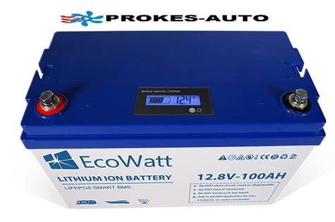 Batterie Ecowatt Lifepo V Ah Wh Mit Integriertem Bms Und