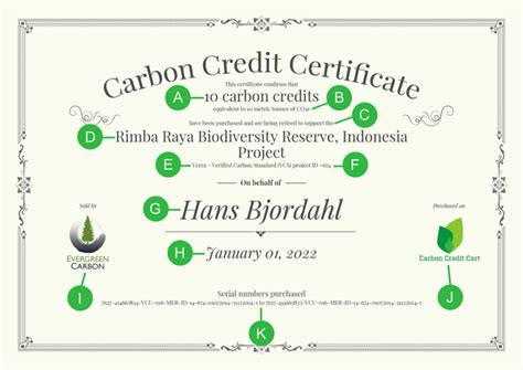 Anatomy Of A Carbon Credit Cart Certificate Ecosoul Partners