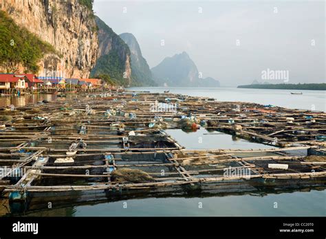 Fish pens at the Muslim fishing village of Ko Panyi. Ko Panyi, Phang ...