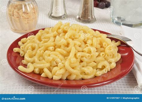 What To Make With Elbow Macaroni Noodles At Ralph Cox Blog