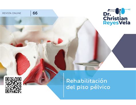 Rehabilitaci N Del Piso P Lvico Dr Christian Reyes Vela