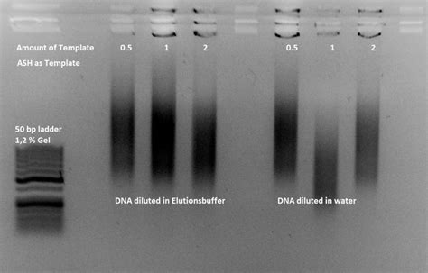 71 questions with answers in TOUCHDOWN PCR | Scientific method