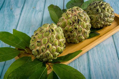 Download Sugar Apple Plating Presentation Wallpaper