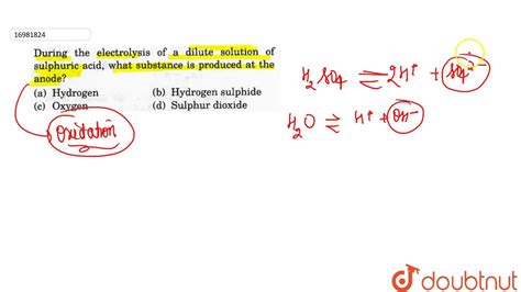 During The Electrolysis Of A Dilute Solution Of Sulphuric Acid What