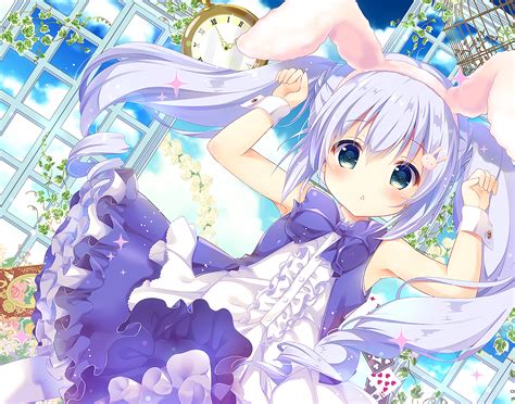 Chino Kafū Anime HD Wallpaper Is the Order a Rabbit