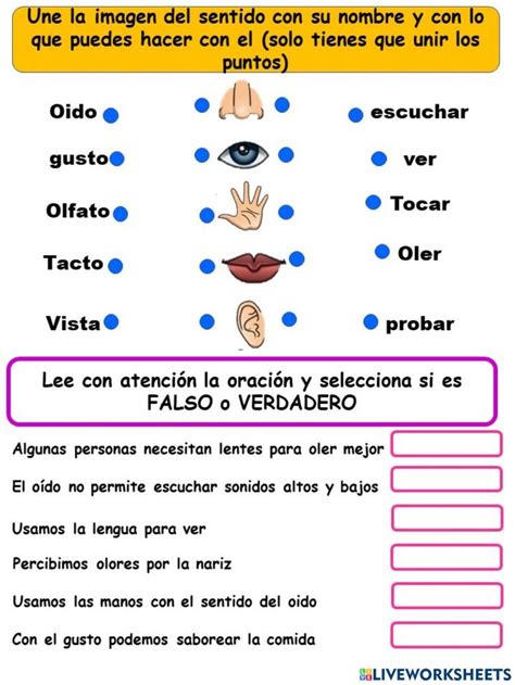 Ficha Online De Los Sentidos Para Primaria Puedes Hacer Los Ejercicios