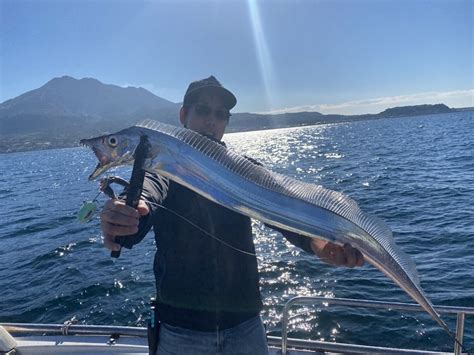 【釣行記】海拓丸！いつでも釣れてます！錦江湾湾奥でタチウオ釣り！鹿児島姶良店 かめや釣具