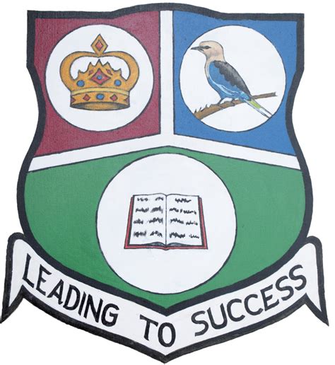 Mansa Colley Bojang School The Gambia Leading To Success