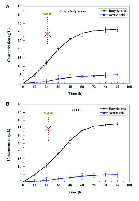 Batch Fermentation Of Butyric Acid In C Tyrobutyricum A And CtFC