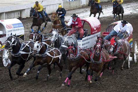 Calgary Stampede | CBC Calgary