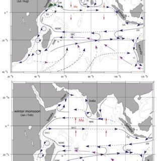 Schematic representation of identified oceanic currents during the ...