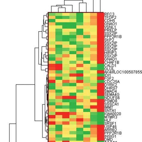 Clustering Of Multiple Myeloma Cell Lines Based On Candidate Gene