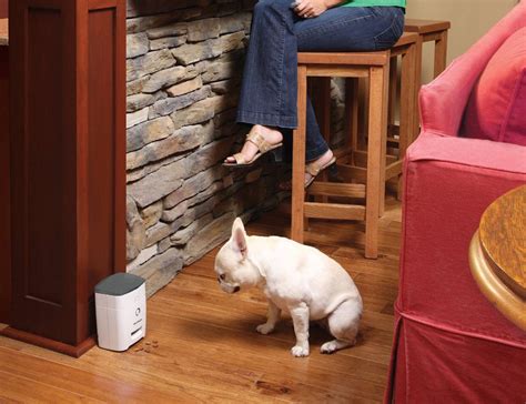 Remote Dog Treat Dispenser by PetSafe » Gadget Flow