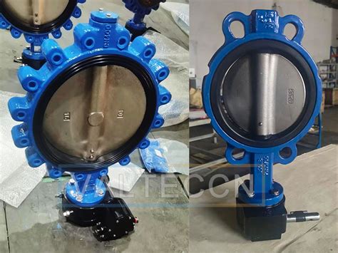 Worm Gear Wafer Butterfly Valve And Worm Gear Lug Butterfly Valve