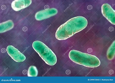 Haemophilus Influenzae Bacteria 3d Illustration Stock Illustration Illustration Of Infectious