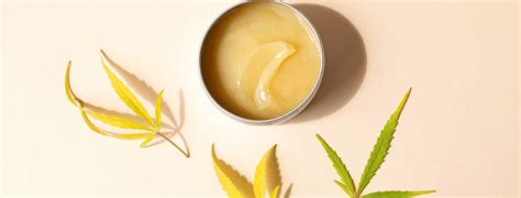 Cbd Salves What Are They And Should You Be Using One Buy Mellow Canada