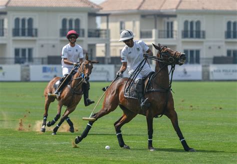 Dubai Polo And Equestrian Club The Complete Guide Cuddlynest