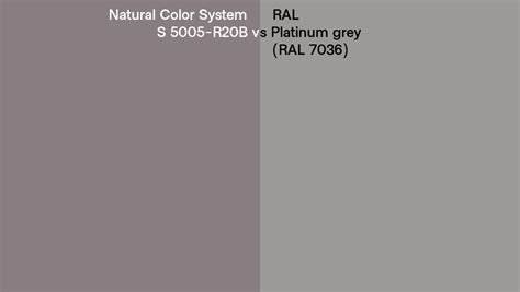 Natural Color System S 5005 R20b Vs Ral Platinum Grey Ral 7036 Side