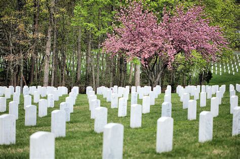 Quantico National Cemetery Photograph by JC Findley - Fine Art America