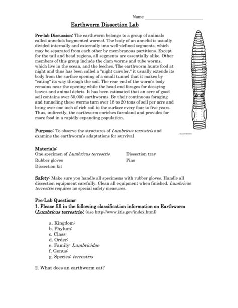 Earthworm Dissection Lab