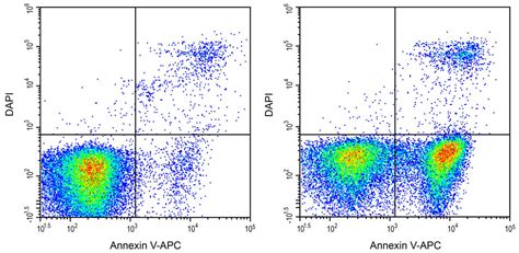 DAPI Staining Solution (25μg/mL) (AKES031) | Assay Genie