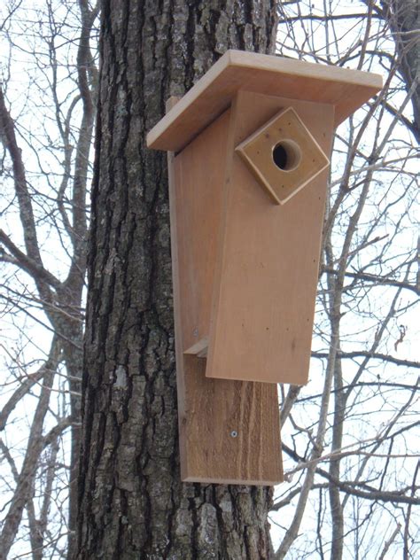 How To Choose The Right Birdhouse To Attract Birds To Your Yard Hubpages