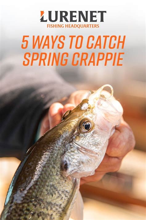 5 Tips For Successful Spring Crappie Fishing