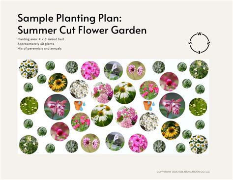 Service: Cut Flower Garden Planting Plan — Goatsbeard Garden Co.