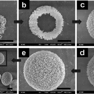 A CaCO 3 Crystals Of Defined Morphology Produced By Transformation Of