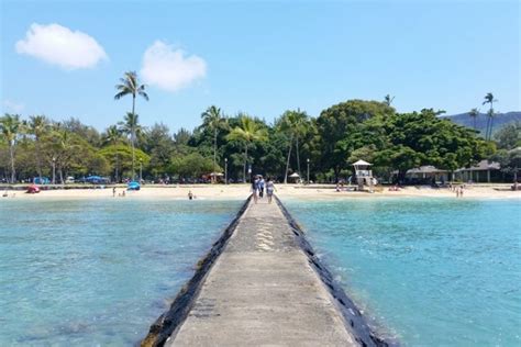 Oahu snorkeling! Best Oahu beach snorkeling for beginners for first ...