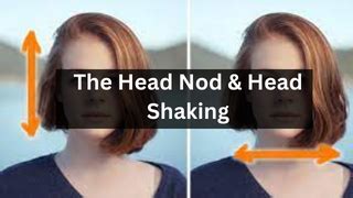 head nod  head shaking plays  role  attitude
