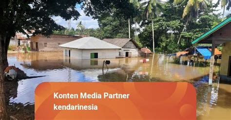 Dampak Banjir Di Konawe Rumah Dan Lahan Tani Terendam Jembatan Putus