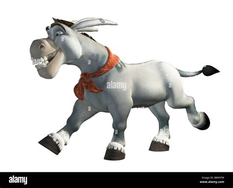 Donkey xote hi-res stock photography and images - Alamy