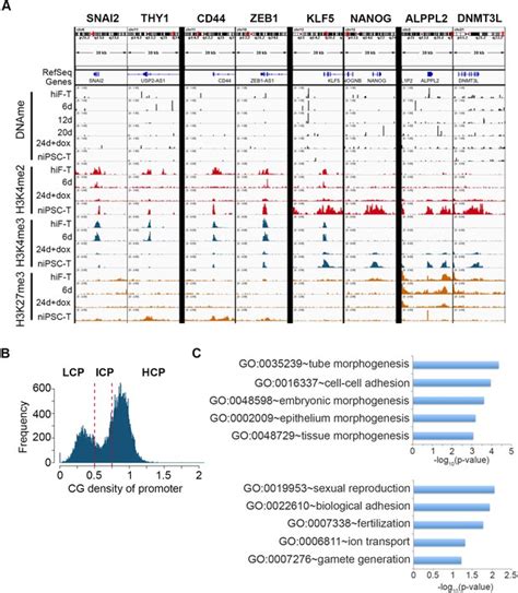 Figures And Data In Unique Molecular Events During Reprogramming Of