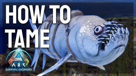 xiphactinus xiphactinus official ark survival evolved wiki