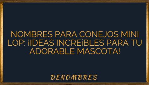 Nombres Para Conejos Mini Lop Ideas Incre Bles Para Tu Adorable