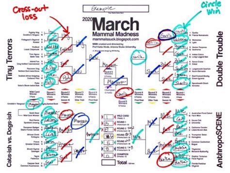 March Mammal Madness Answer Key Bundles Prizes Ensures