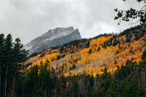 Bierstadt Lake Trail Hike From Bierstadt Lake Trailhead Roads And