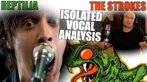 Reptilia The Strokes Julian Casablancas Isolated Vocal Analysis