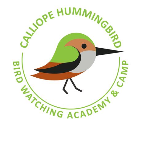 Calliope Hummingbird - Bird Watching Academy