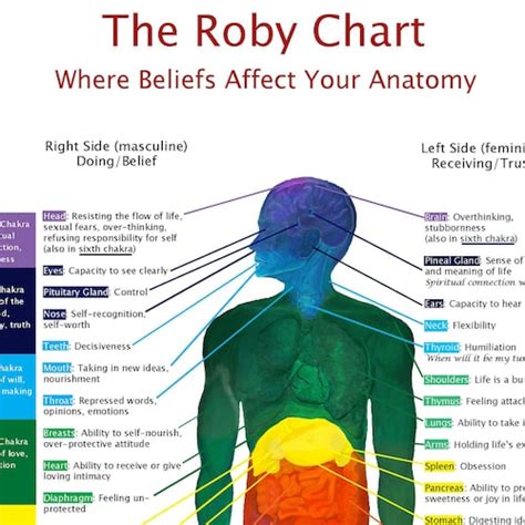 The Roby Chart Where Beliefs Affect Your Anatomy Etsy