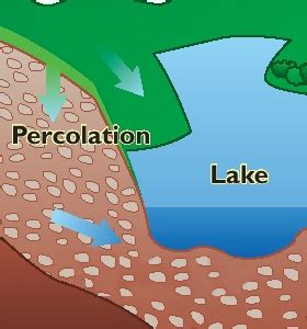 Percolation - Third Grade Water Cycle