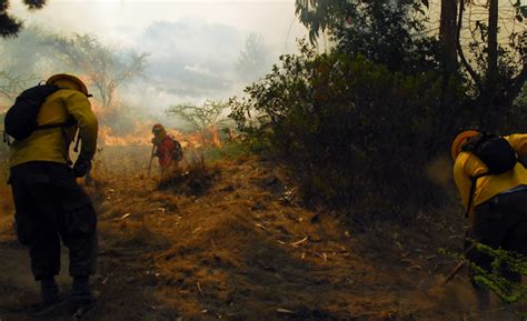 Controlan Incendio Forestal Que Consumió 35 Hectáreas En La Unión