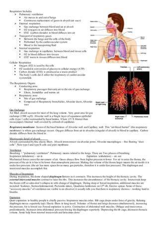 Respiration Includes PDF