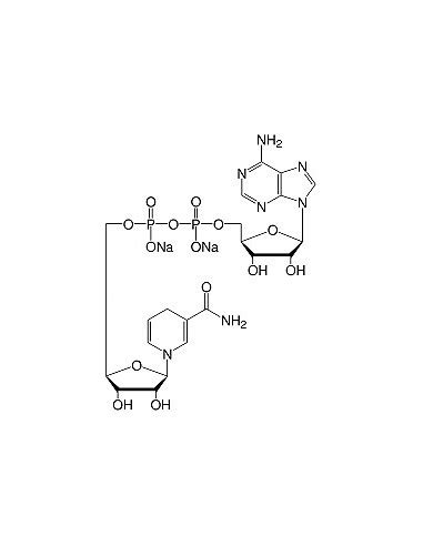 Nicotinamide Adenine Dinucleotide Cas Biophoretics