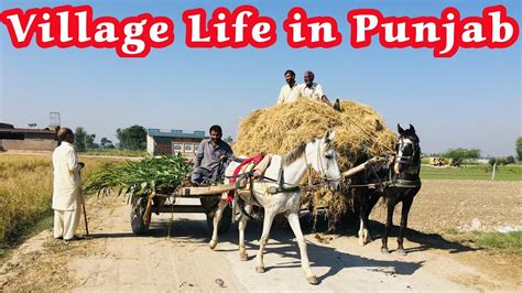 Village Life In Punjab Pakistan Rural Life Desi Life Beautiful