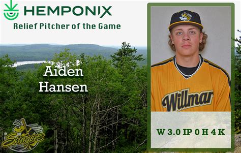 Stingers Take Down Hot Tots To Win Series Willmar Stingers