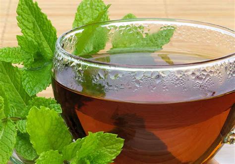 Beneficios Del Té De Yerbabuena Tradición Trejo