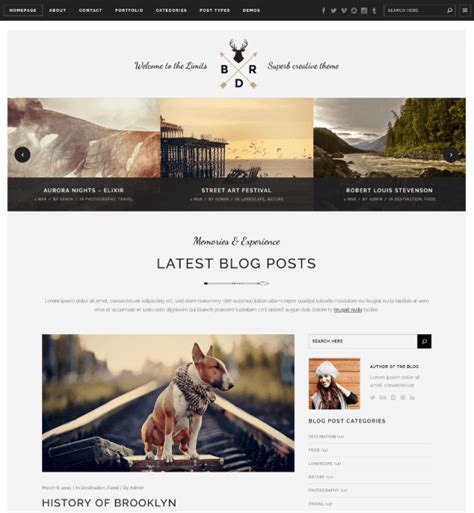 brown wordpress themes