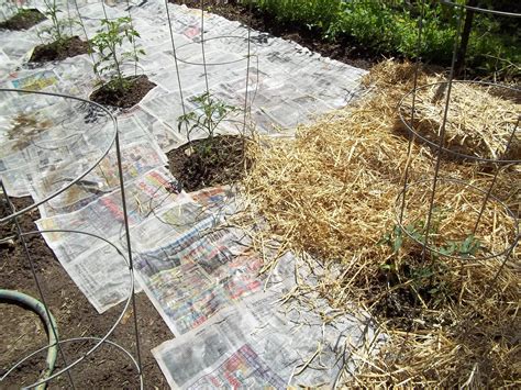 Pin By Michelle L Arnold On Gardening Mulch Organic Mulch Straw Mulch